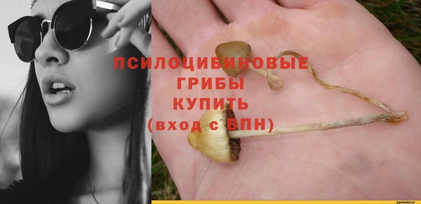 винт Вяземский