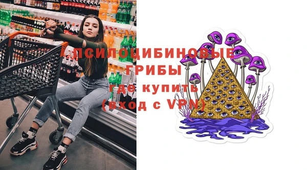 винт Вяземский