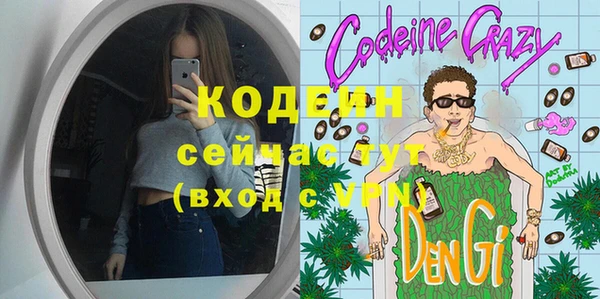 винт Вяземский