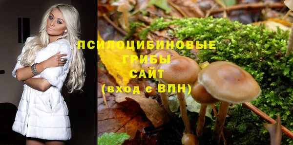 мяу мяу мука Вязники