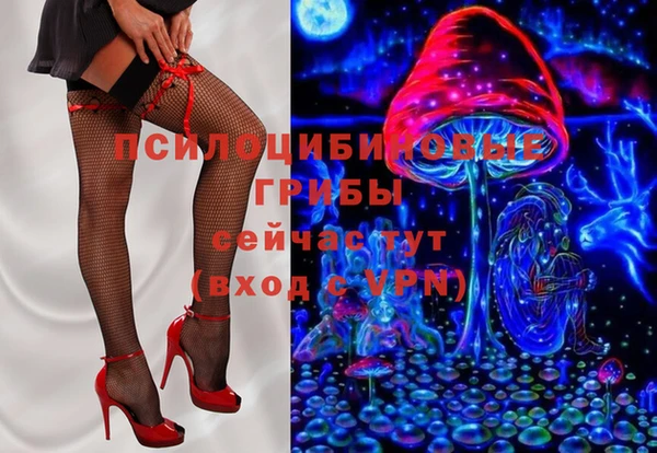 винт Вяземский