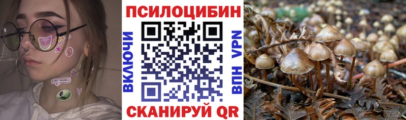 Псилоцибиновые грибы мицелий  Мурманск 